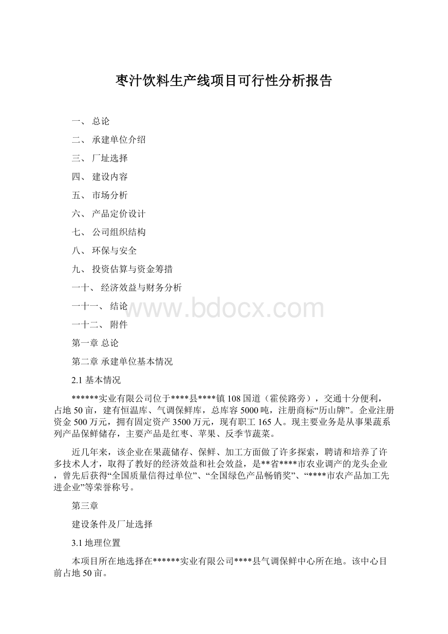 枣汁饮料生产线项目可行性分析报告.docx