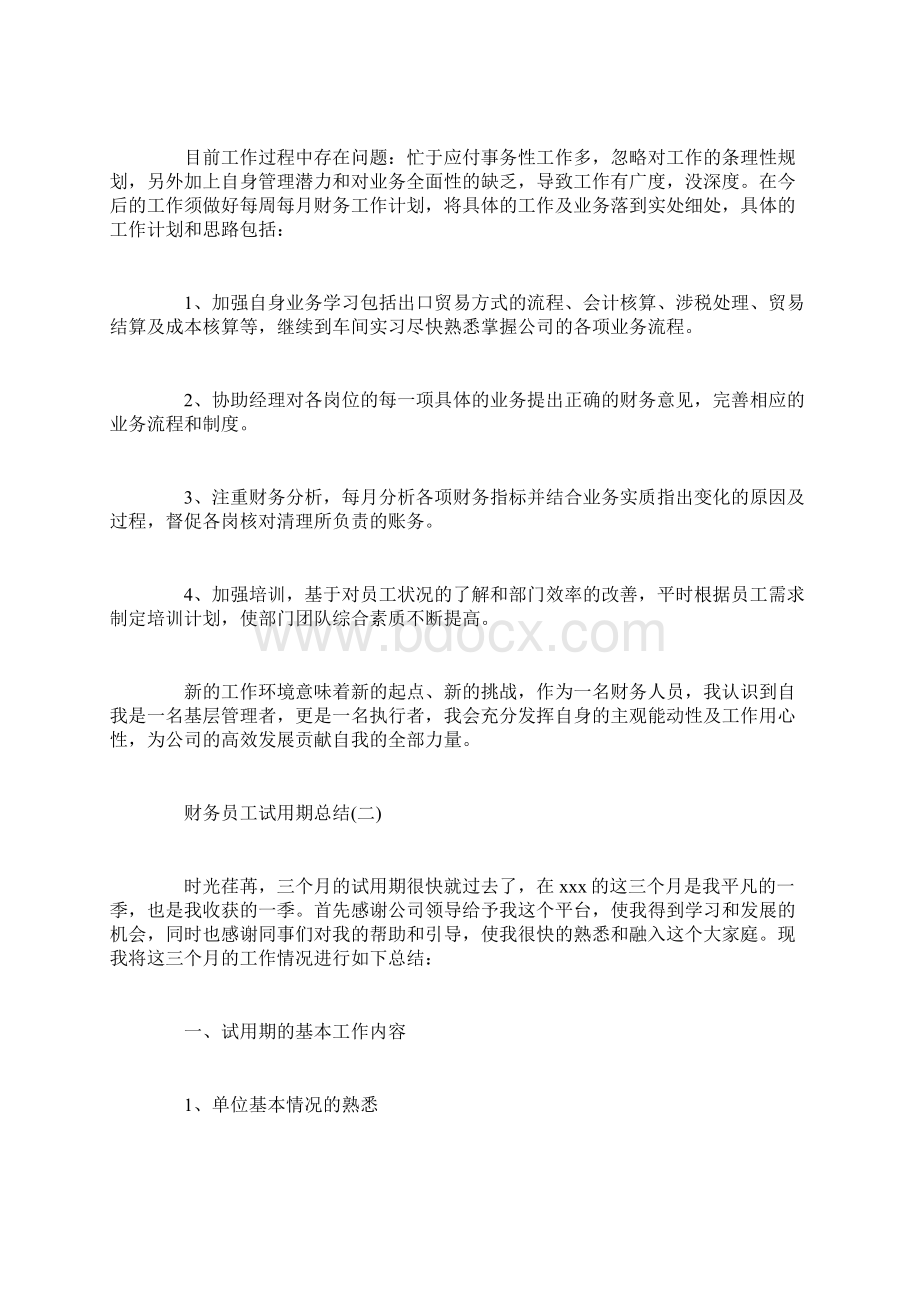 财务员工试用期自我总结Word格式.docx_第2页