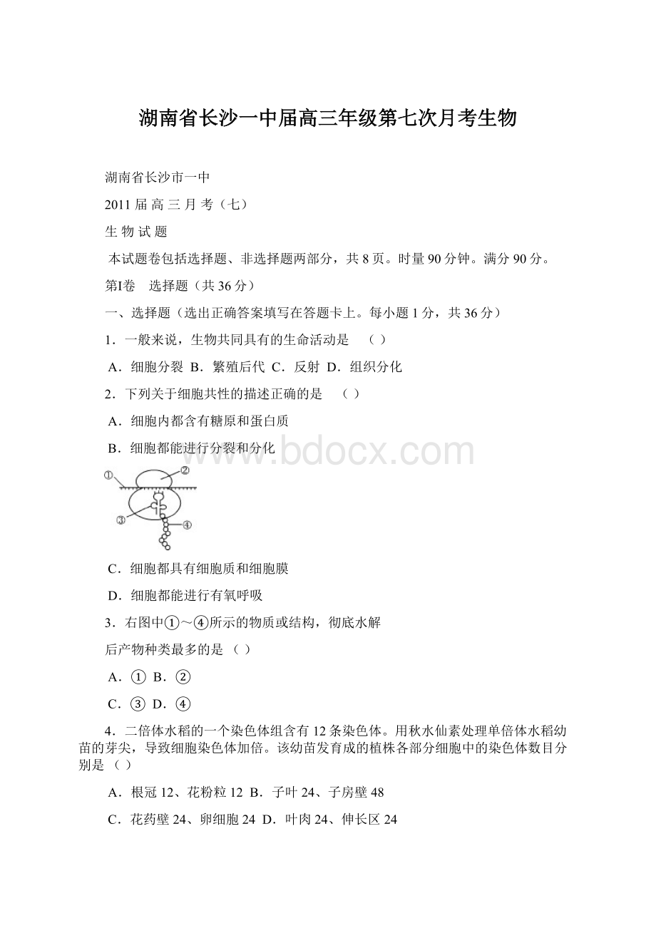 湖南省长沙一中届高三年级第七次月考生物.docx_第1页