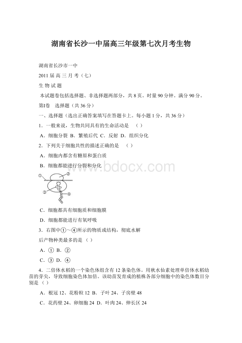 湖南省长沙一中届高三年级第七次月考生物.docx