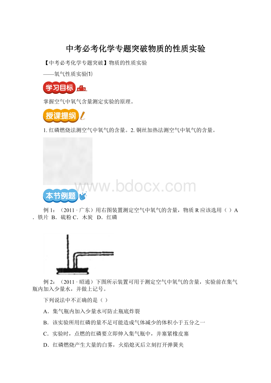 中考必考化学专题突破物质的性质实验.docx