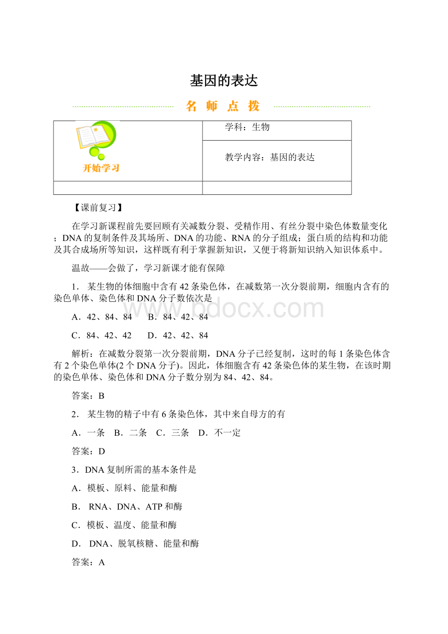 基因的表达.docx_第1页