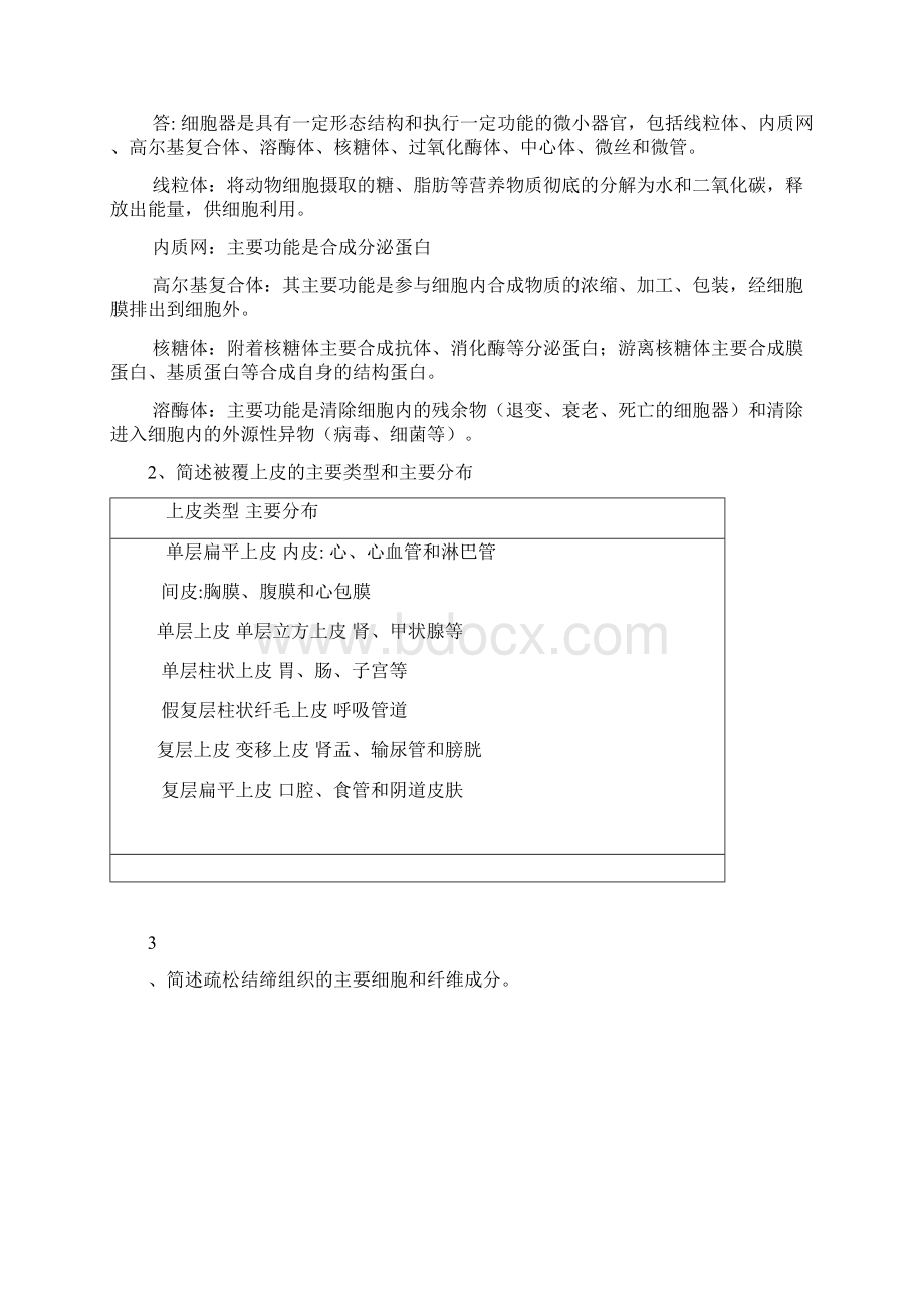 大专一年级上学期解剖复习提纲文档格式.docx_第3页