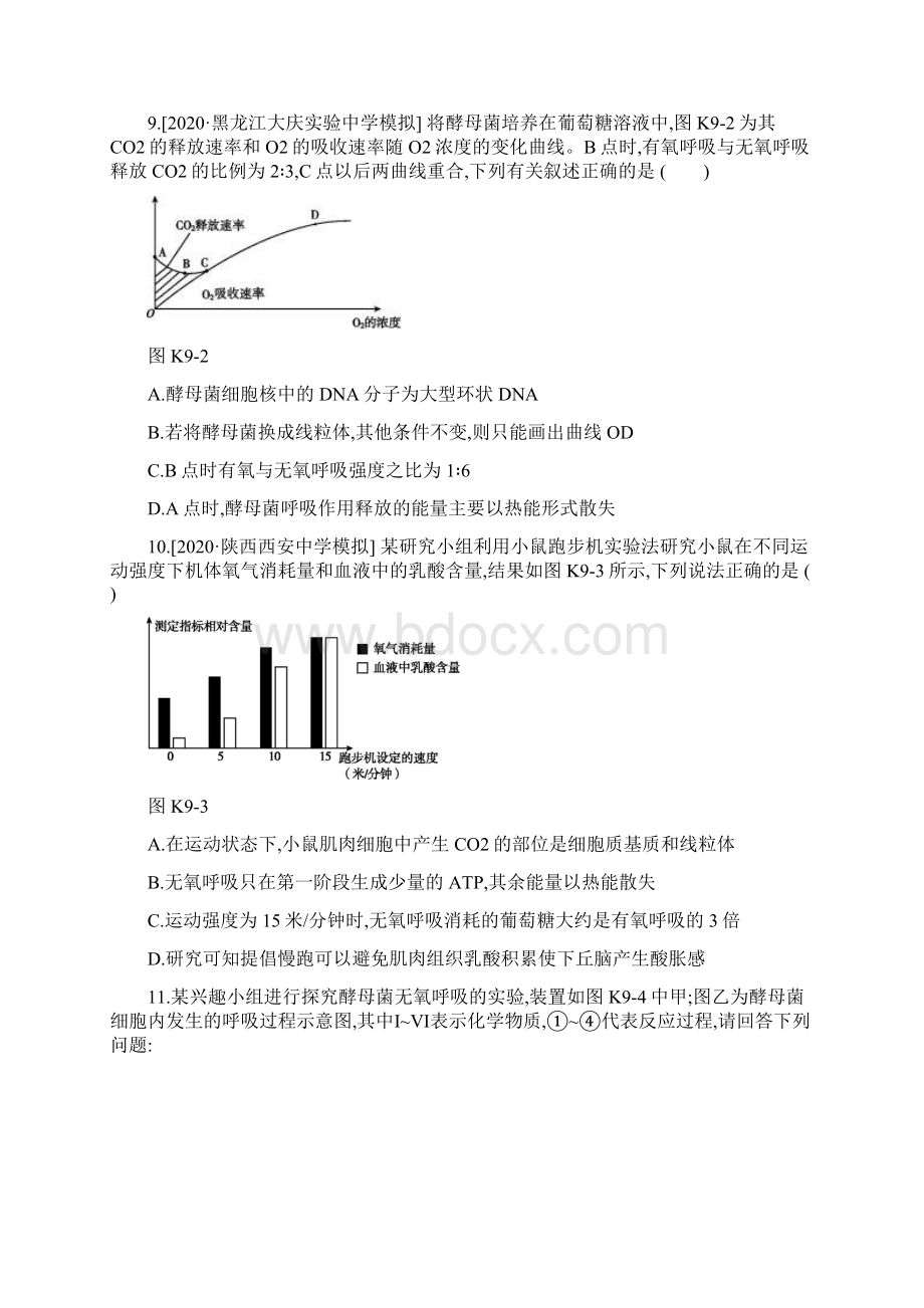 届 新高考 一轮复习 人教版 细胞呼吸A作业.docx_第3页