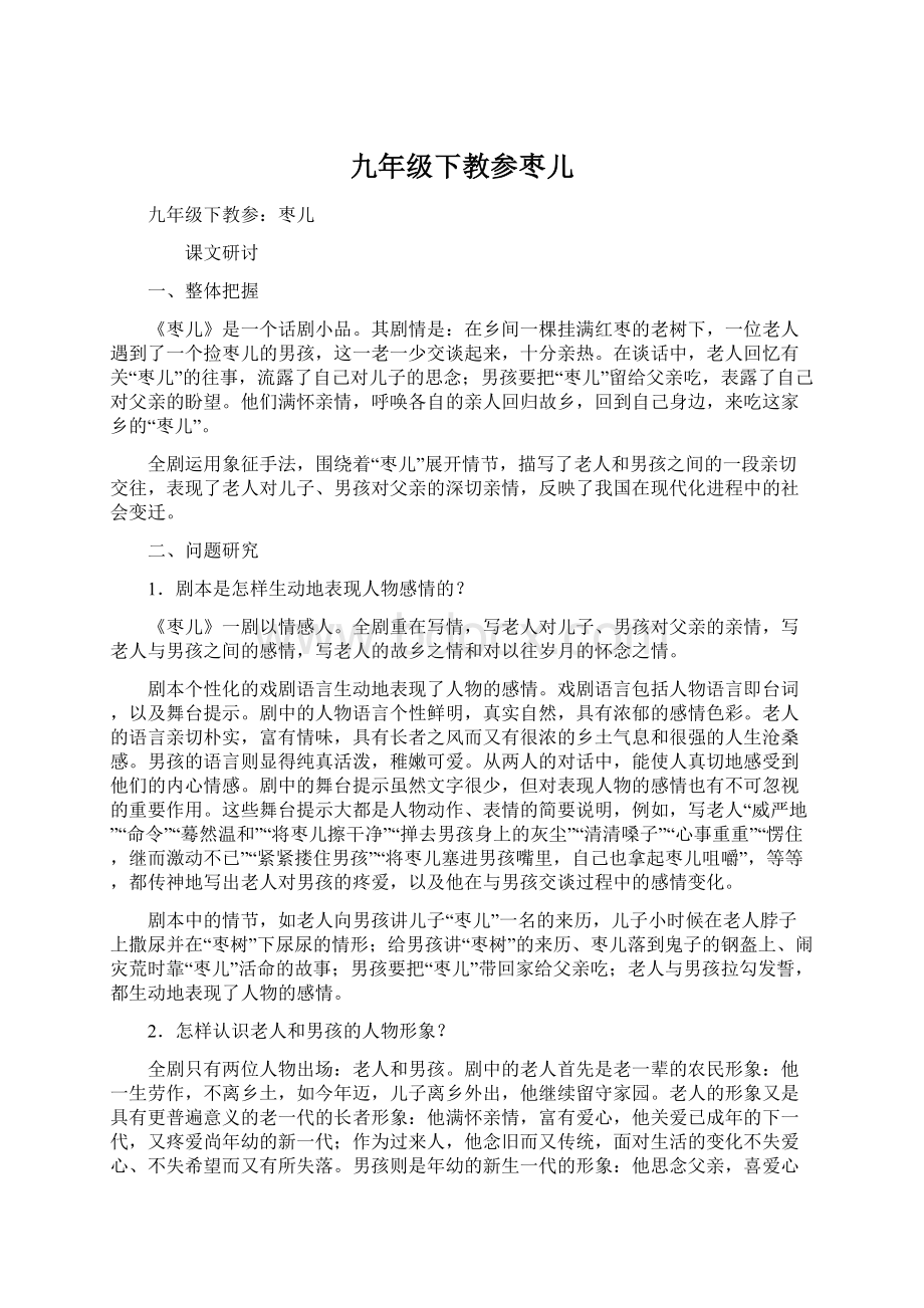 九年级下教参枣儿文档格式.docx