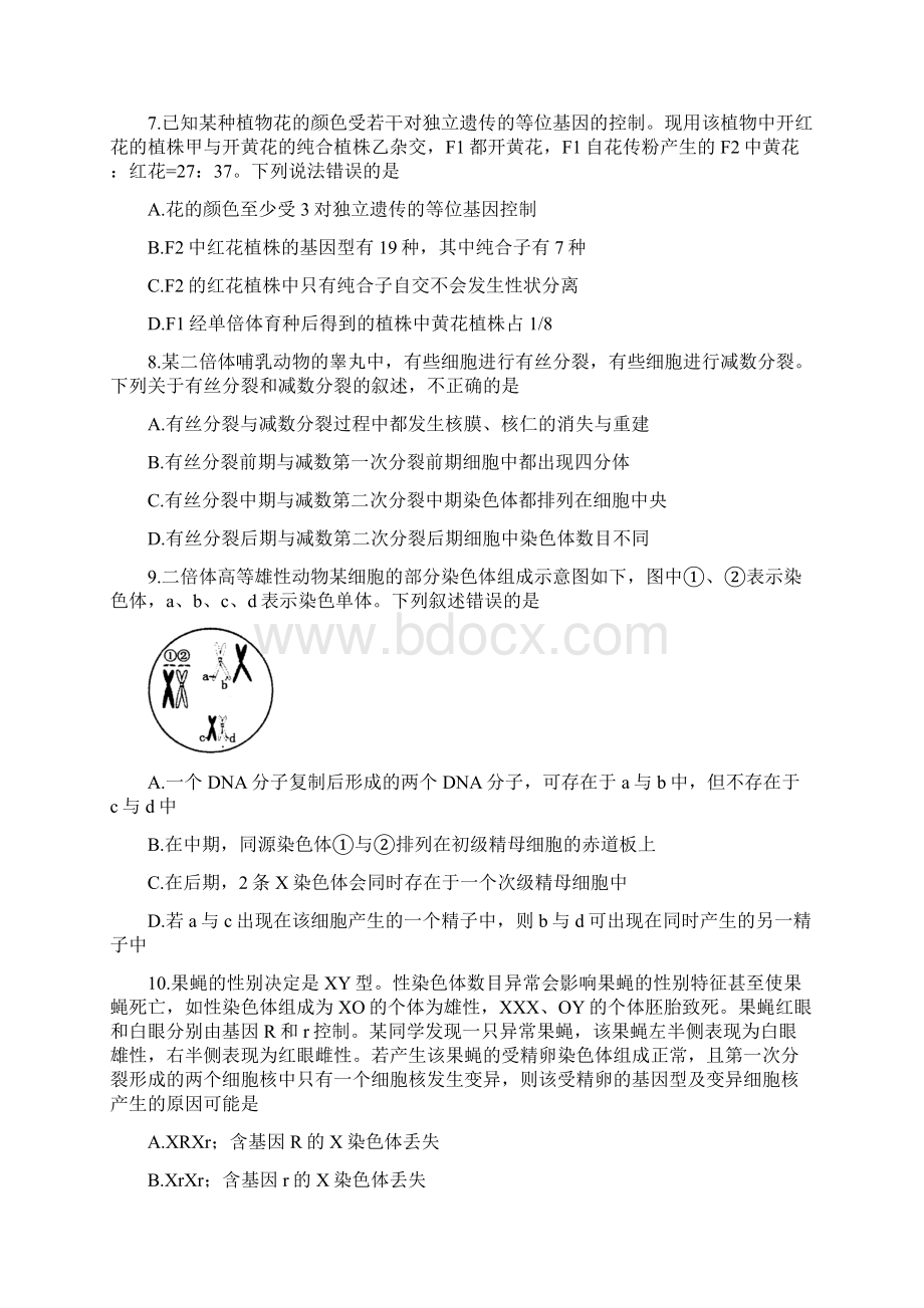 学年河南省洛阳市高二下学期期末质量检测生物试题Word格式.docx_第3页