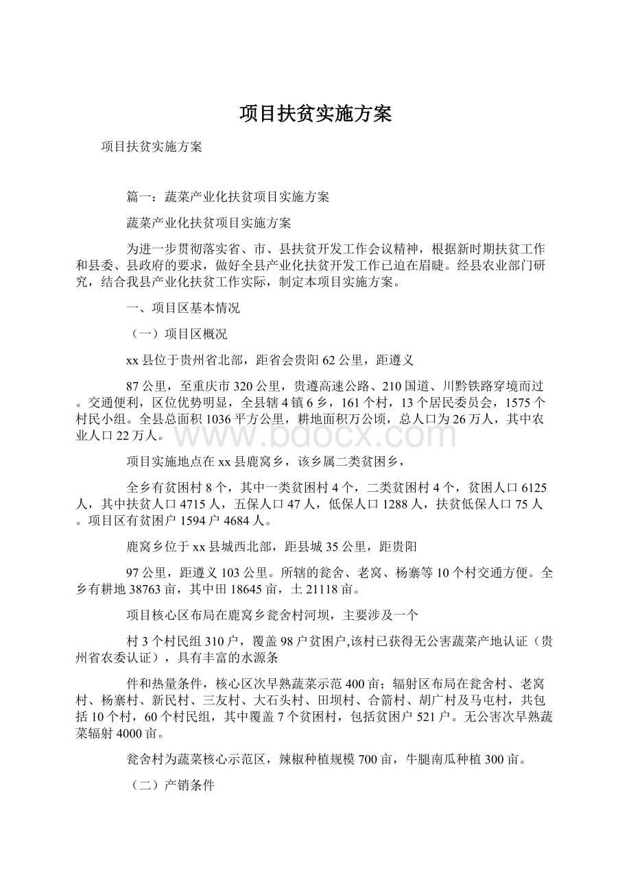 项目扶贫实施方案Word格式.docx