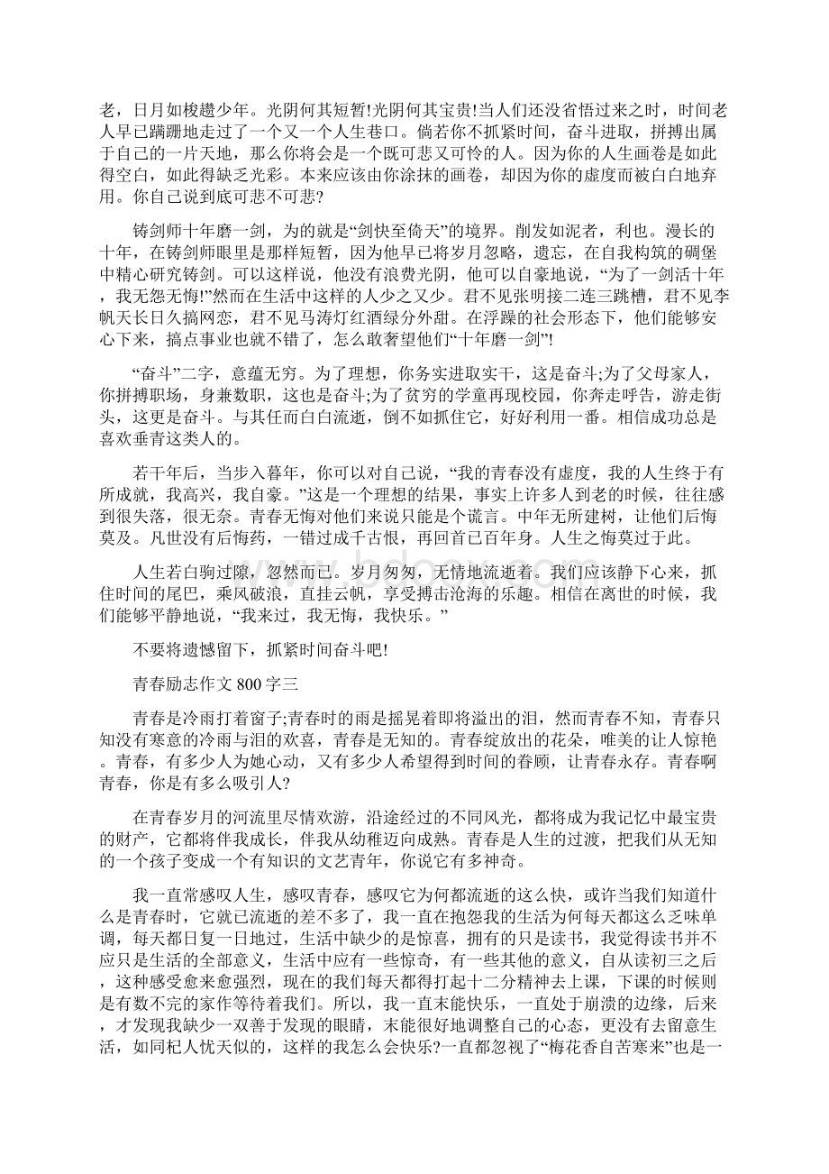 青春励志高中命题高分作文800字Word格式文档下载.docx_第2页