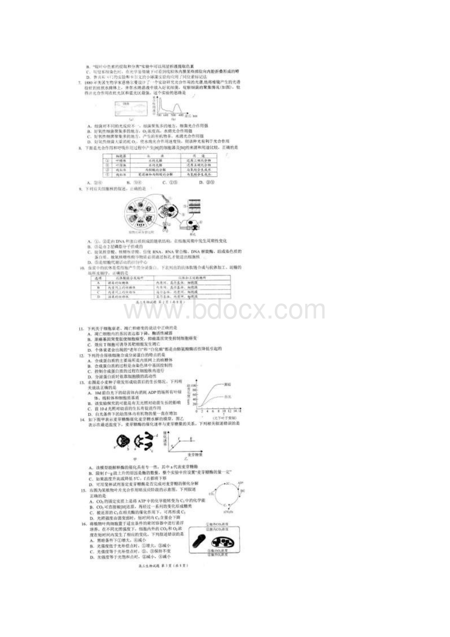 高中资源河南省中原名校届高三上学期第一次联考生物试题 扫描版含答案Word格式.docx_第2页