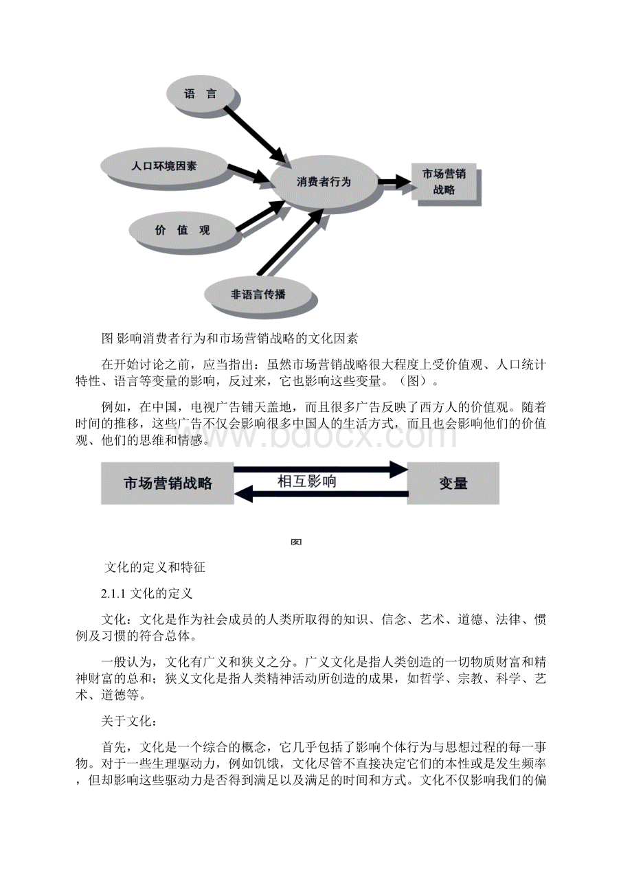 消费者行为学教案Word格式文档下载.docx_第3页