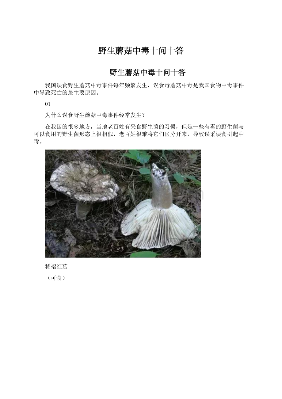 野生蘑菇中毒十问十答.docx