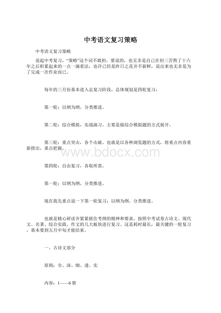 中考语文复习策略.docx_第1页