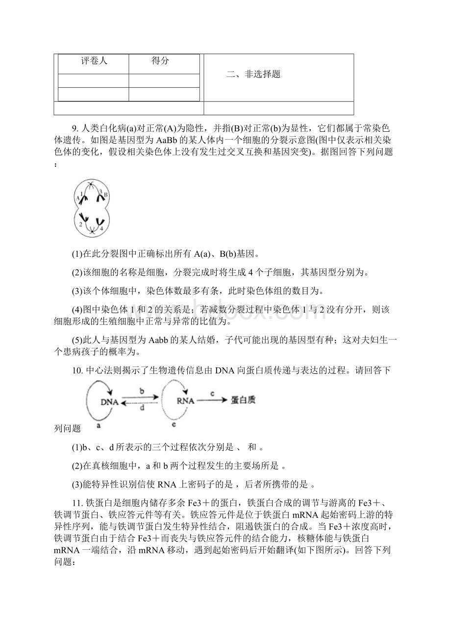 高一下学期期末 生物考试 含答案.docx_第3页