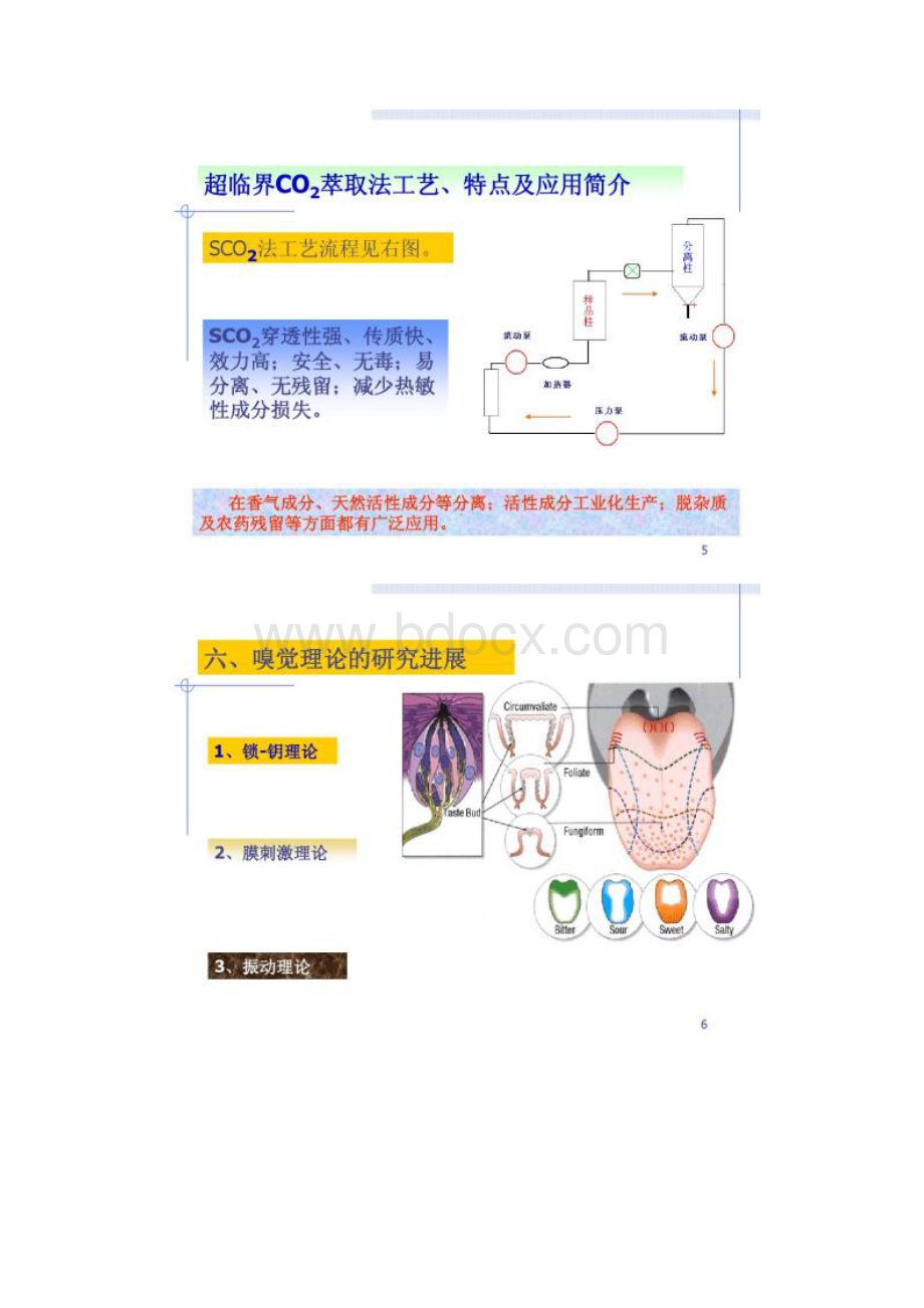 食品化学中国海洋大学.docx_第3页