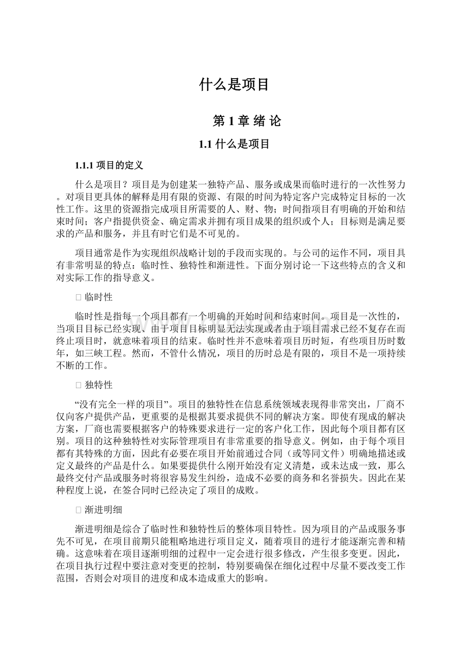 什么是项目Word下载.docx