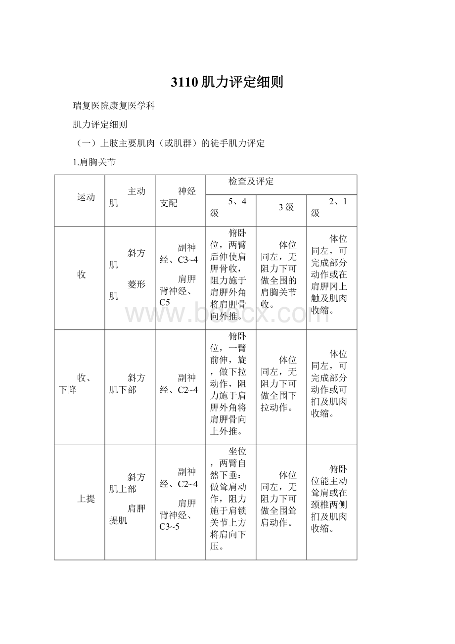 3110肌力评定细则Word文档下载推荐.docx