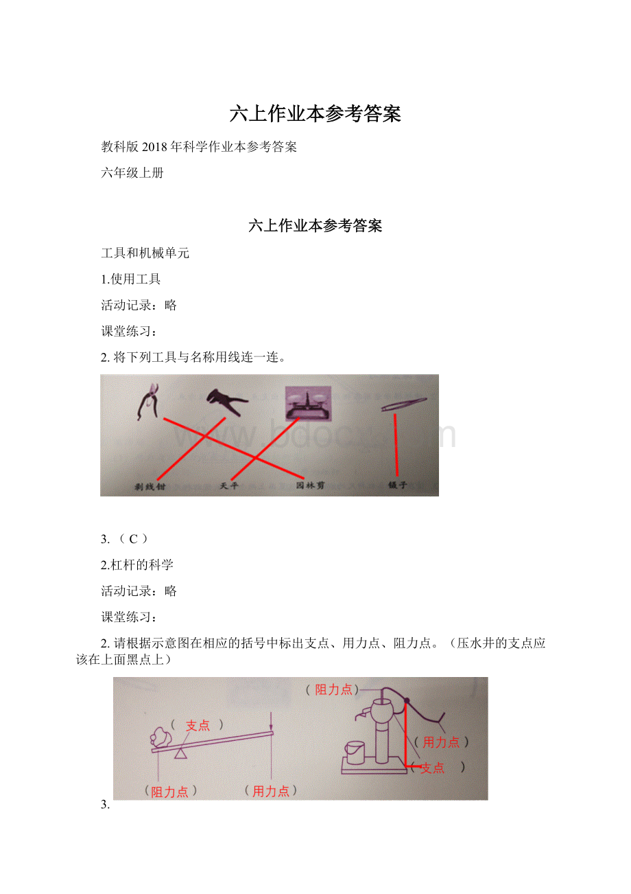 六上作业本参考答案.docx_第1页