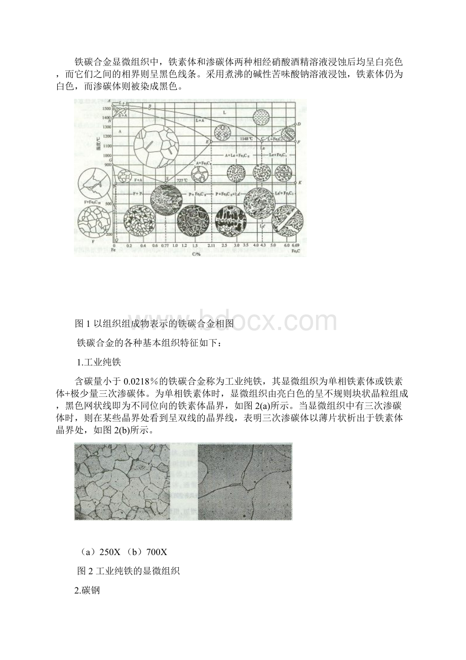 实验一 铁碳合金平衡组织的观察与分析Word文档格式.docx_第2页