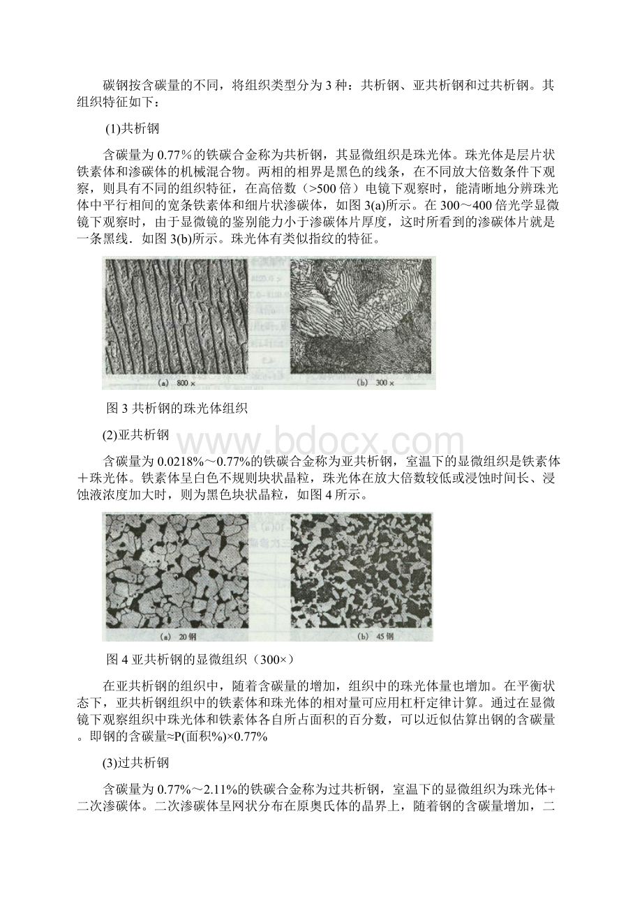 实验一 铁碳合金平衡组织的观察与分析Word文档格式.docx_第3页