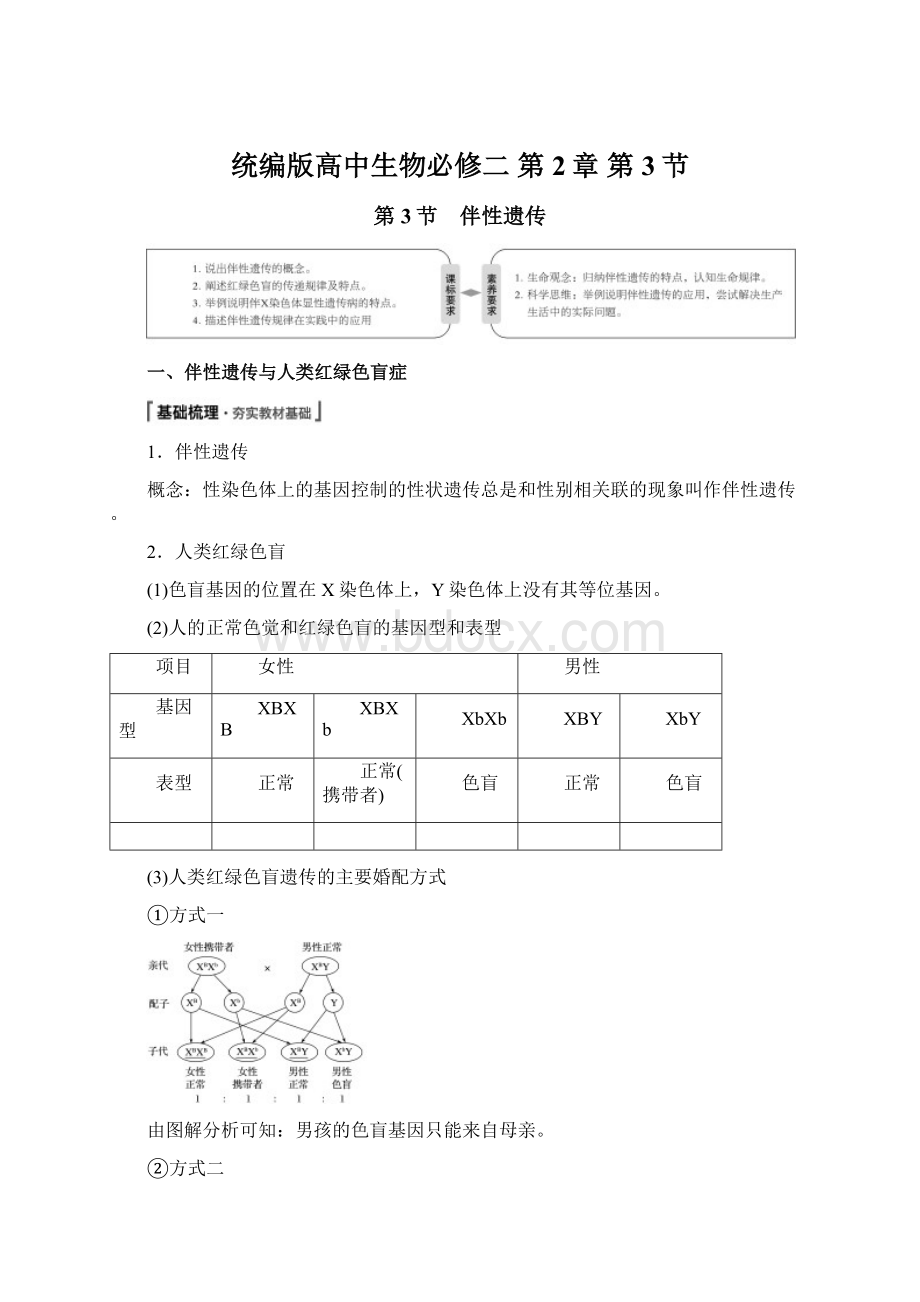 统编版高中生物必修二 第2章 第3节.docx