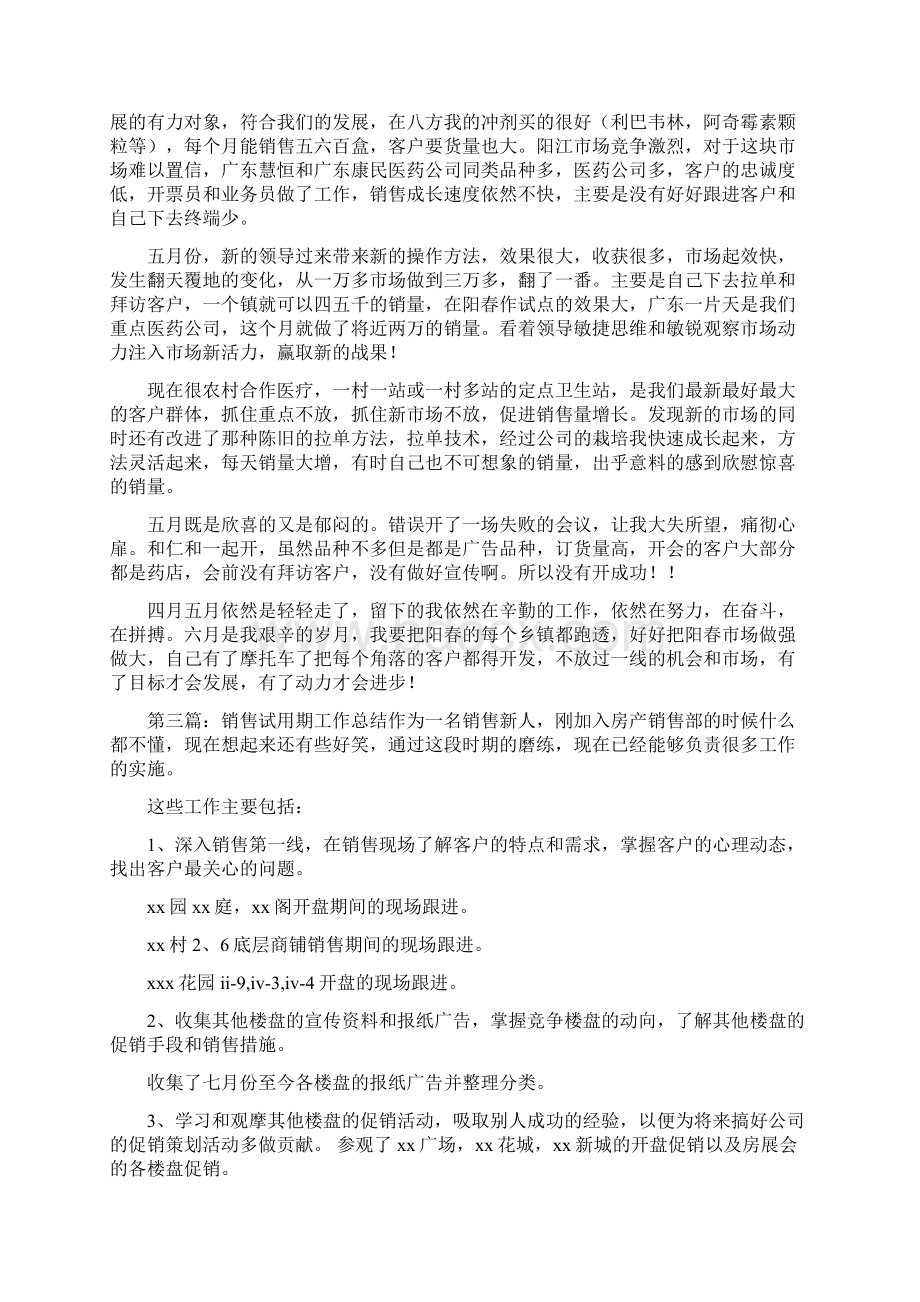 医药销售试用期个人工作总结Word格式文档下载.docx_第2页