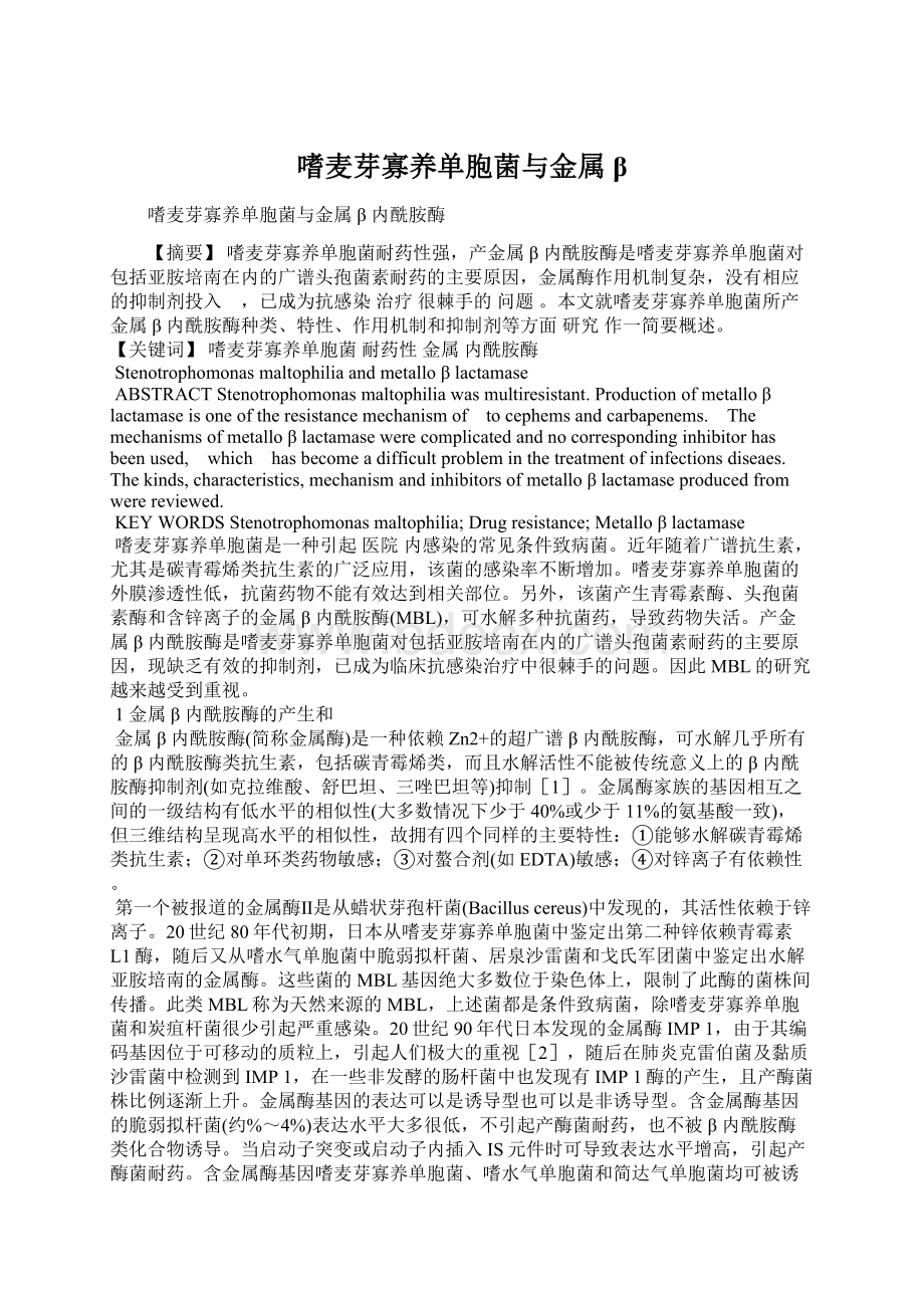 嗜麦芽寡养单胞菌与金属βWord下载.docx