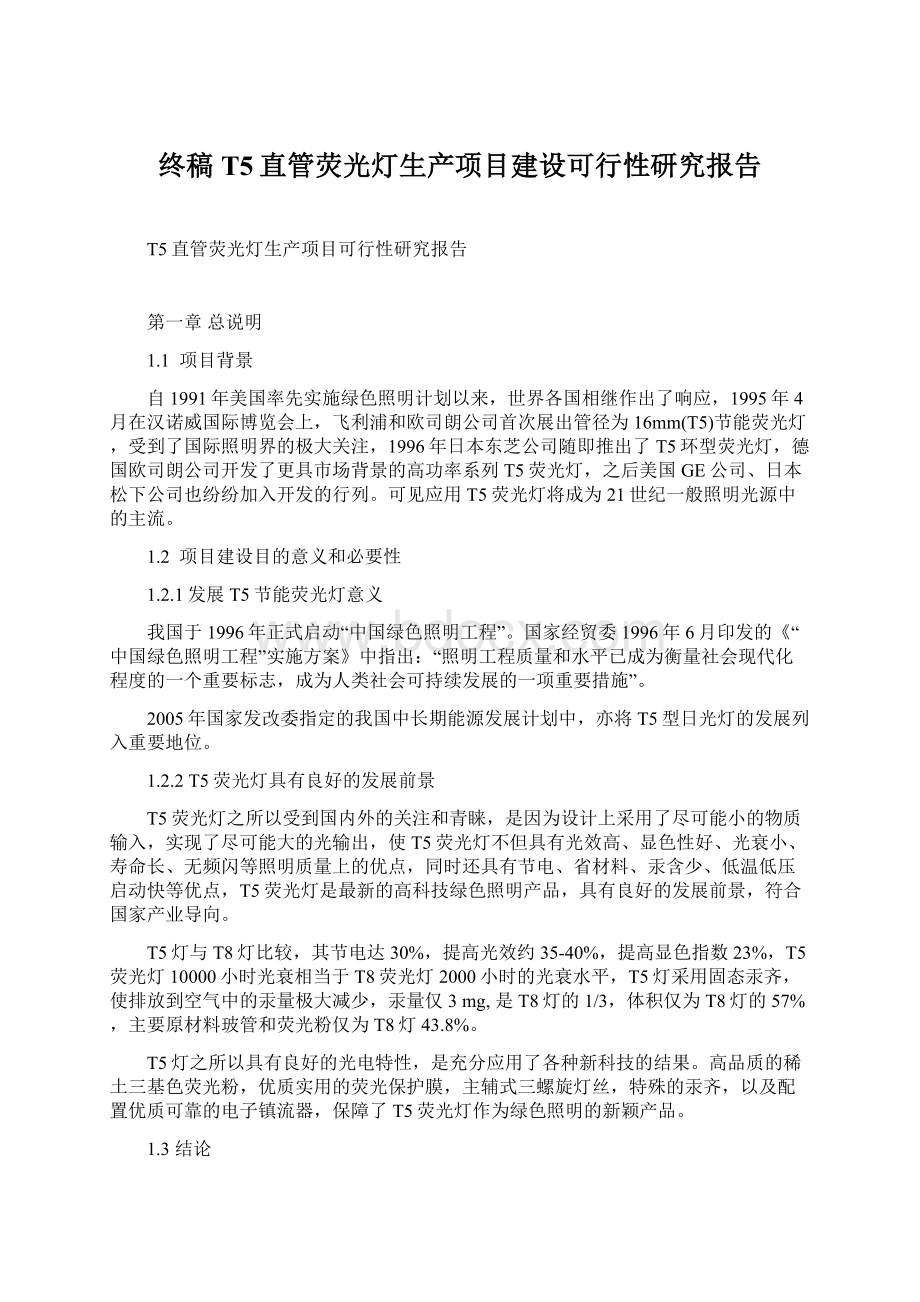 终稿T5直管荧光灯生产项目建设可行性研究报告Word下载.docx