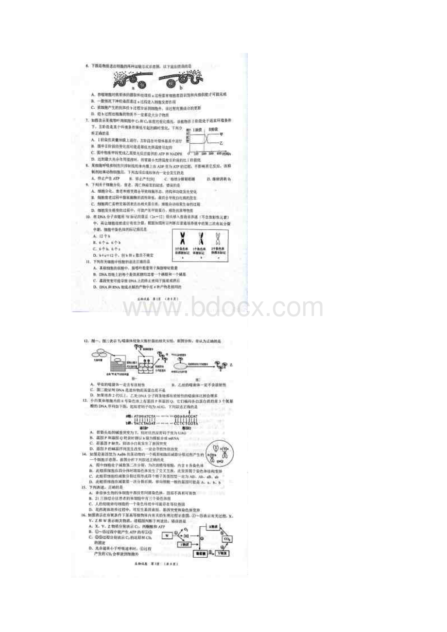 湖南省岳阳市届高三教学质量检测一一模生物试题+扫描版含答案Word文件下载.docx_第2页