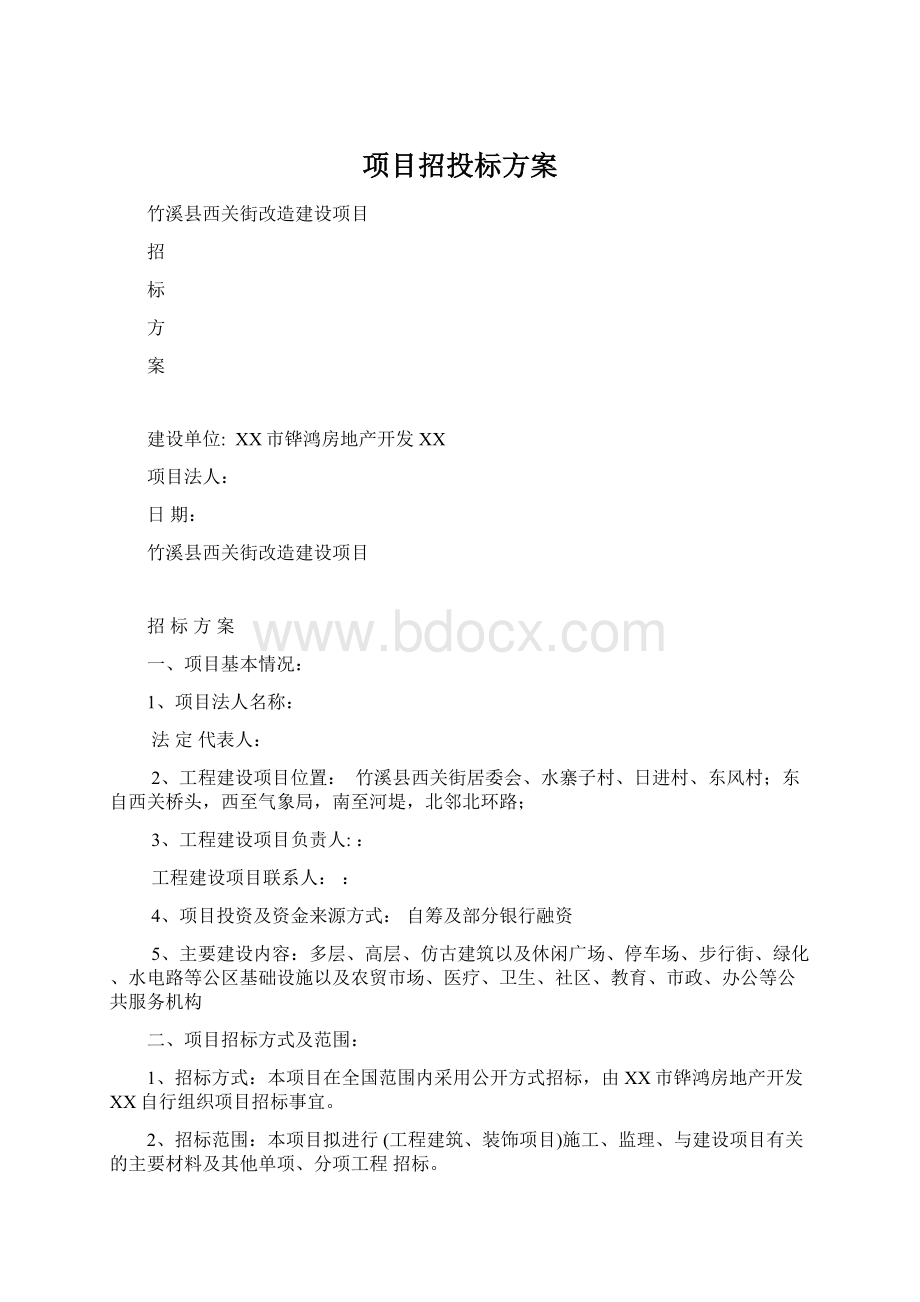 项目招投标方案.docx_第1页