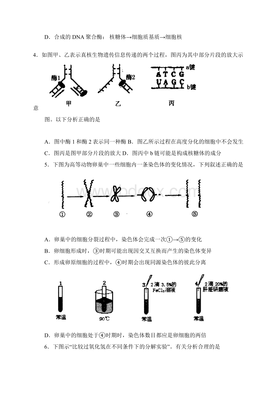 山东省泰安市届高三理综第二次模拟考试试题 2.docx_第2页