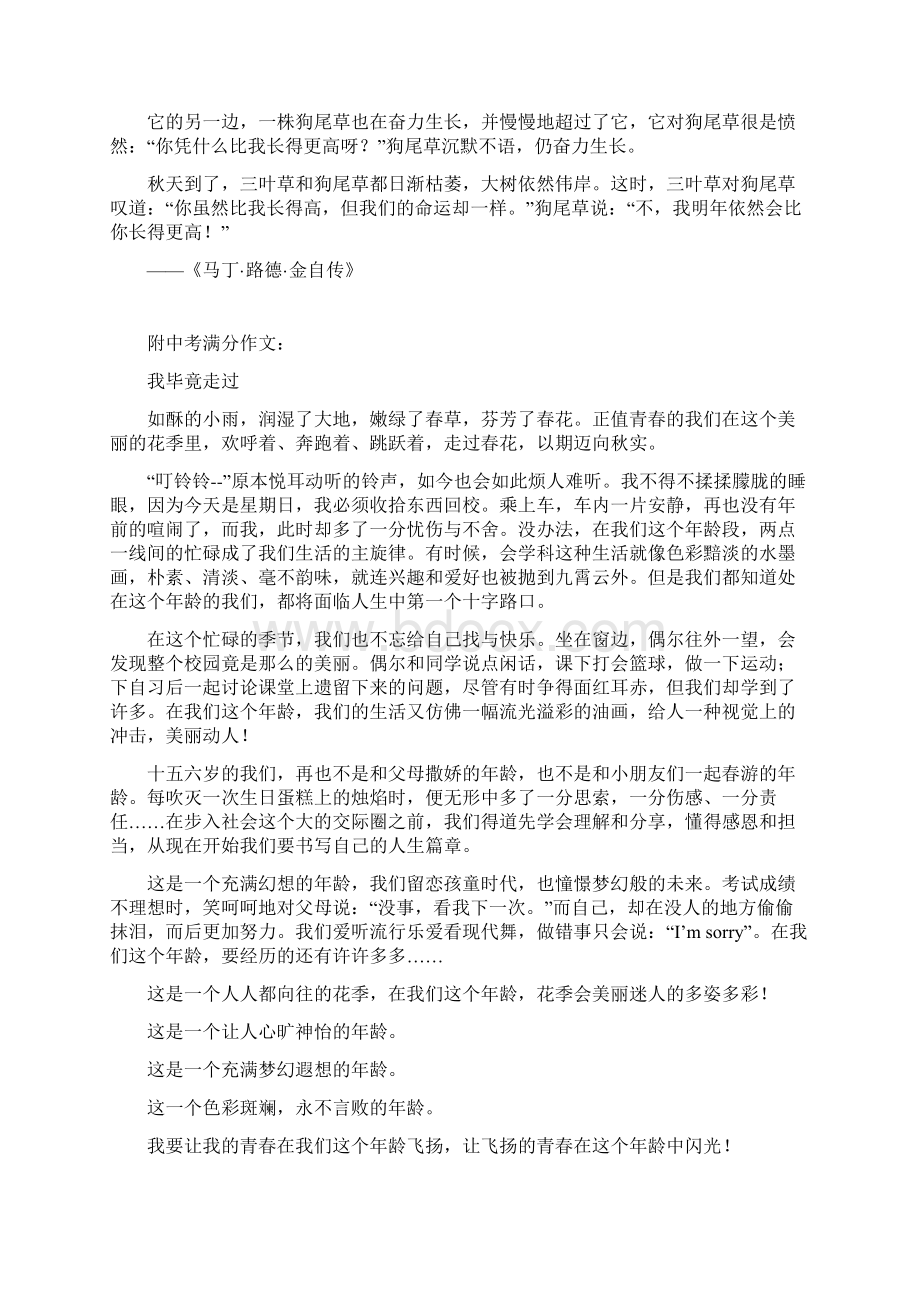 最新整理中考必备中考作文经典解析上部Word文件下载.docx_第3页