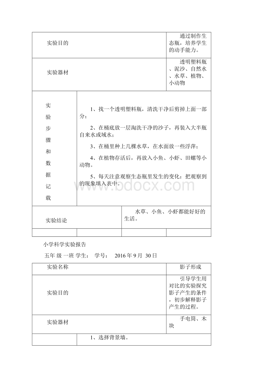 五年级下册科学实验报告单.docx_第3页