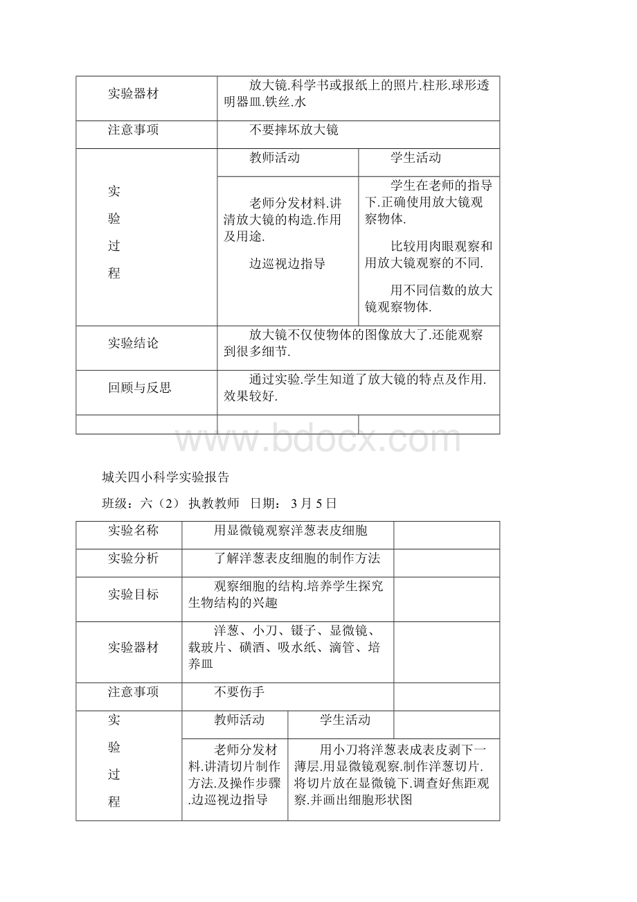 六年级下册科学实验报告单Word格式文档下载.docx_第2页