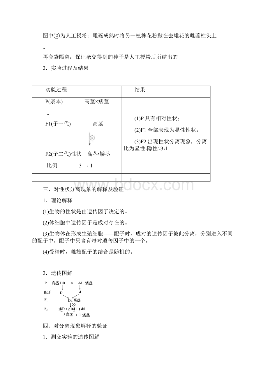高考生物第一轮知识点复习导学案8第15讲孟德尔的豌豆杂交实验一Word格式.docx_第2页