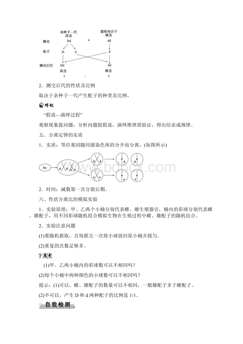 高考生物第一轮知识点复习导学案8第15讲孟德尔的豌豆杂交实验一Word格式.docx_第3页