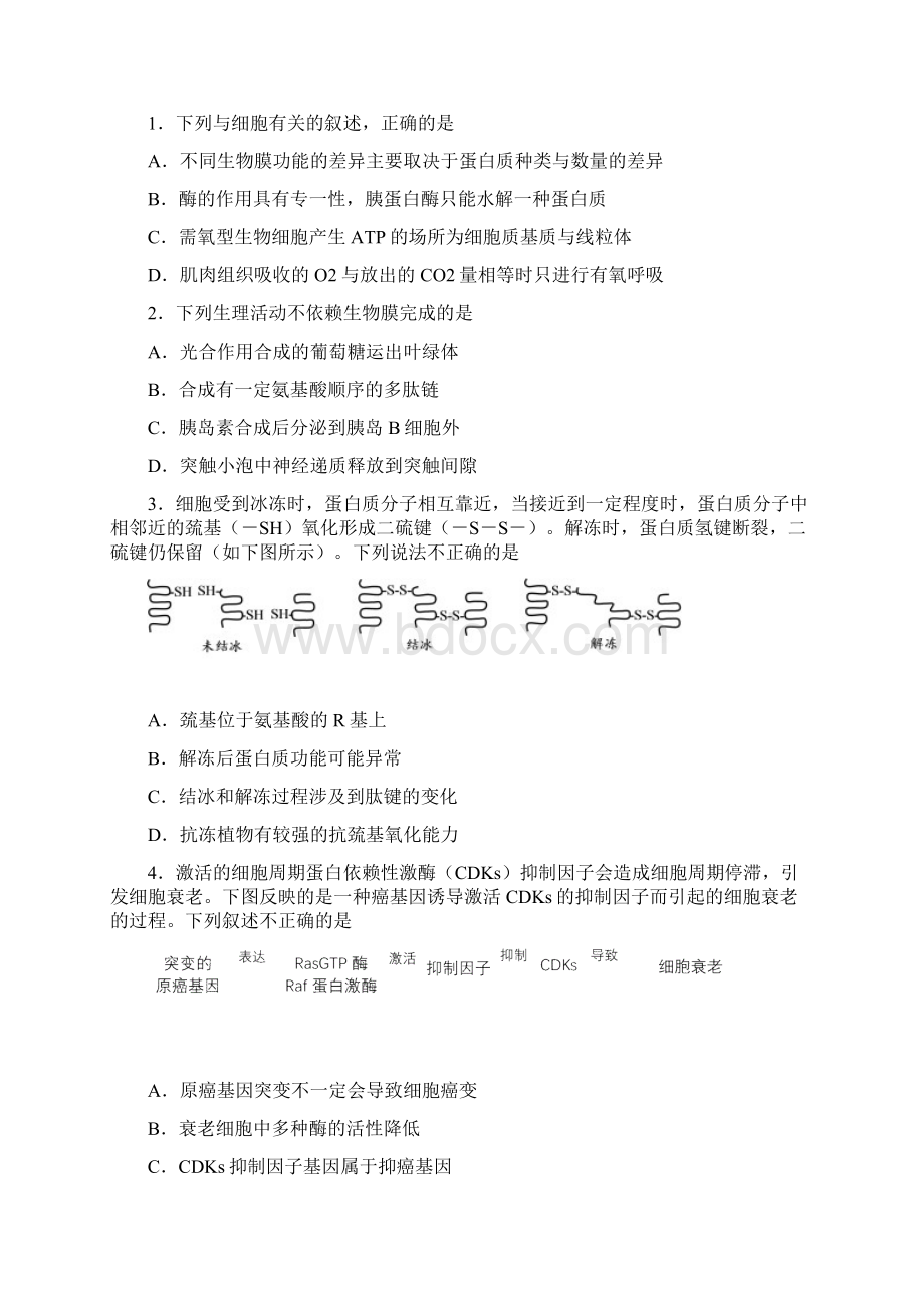 西城区高三生物试题及答案.docx_第2页