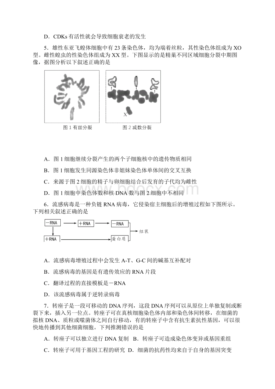 西城区高三生物试题及答案.docx_第3页