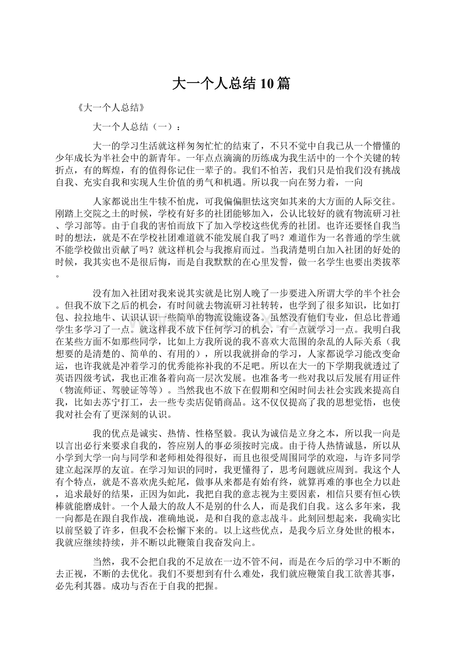 大一个人总结10篇.docx