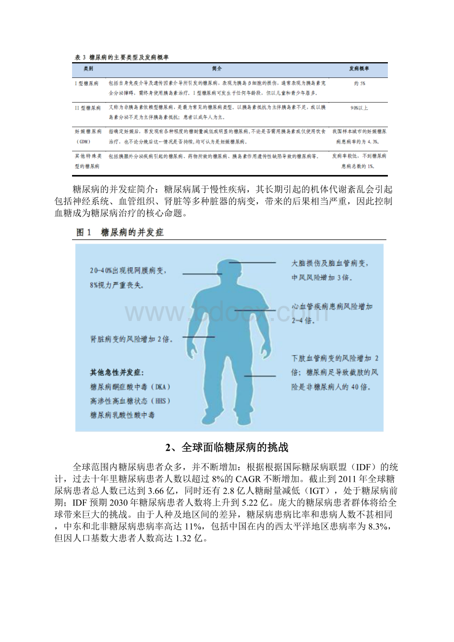 糖尿病诊疗行业分析报告Word格式.docx_第2页