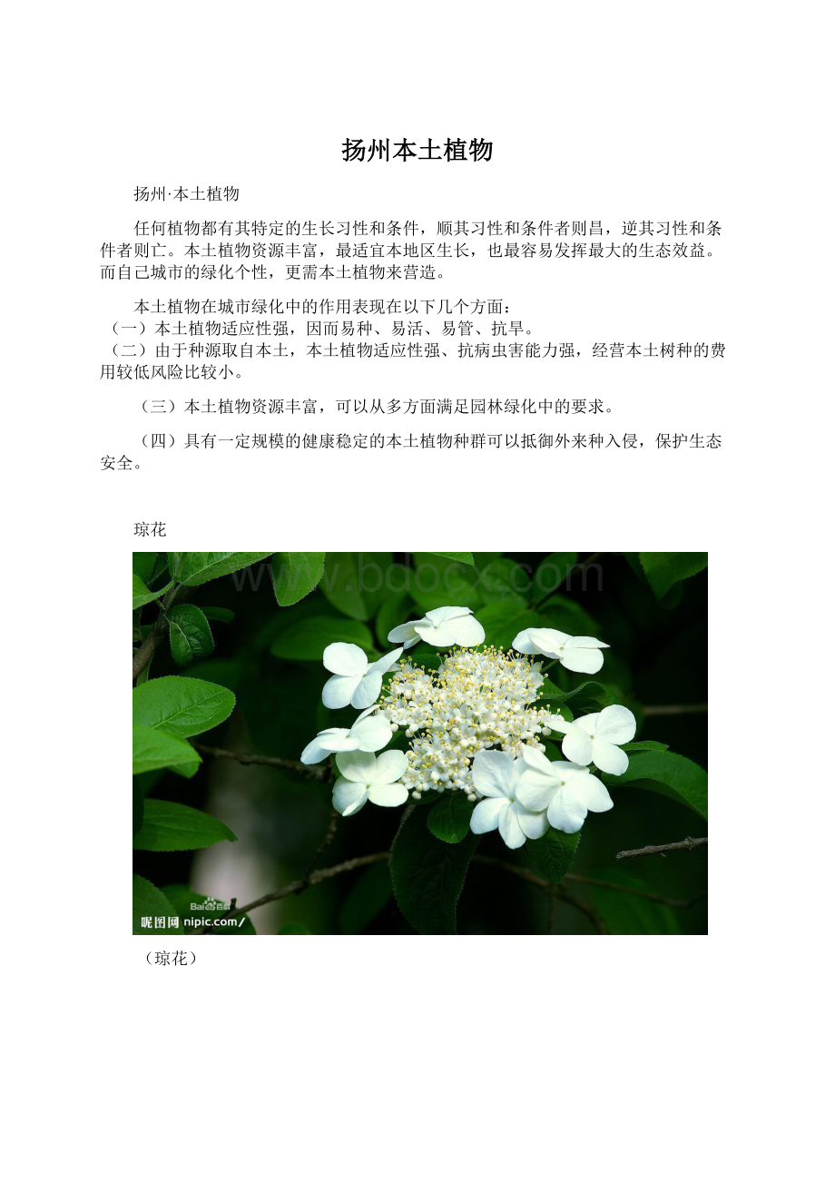 扬州本土植物.docx_第1页