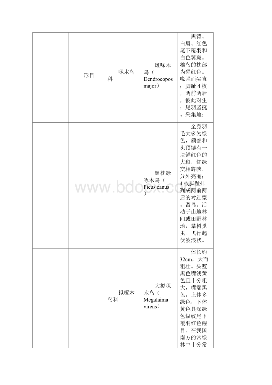 野生动物学实验报告鸟纲哺乳.docx_第2页