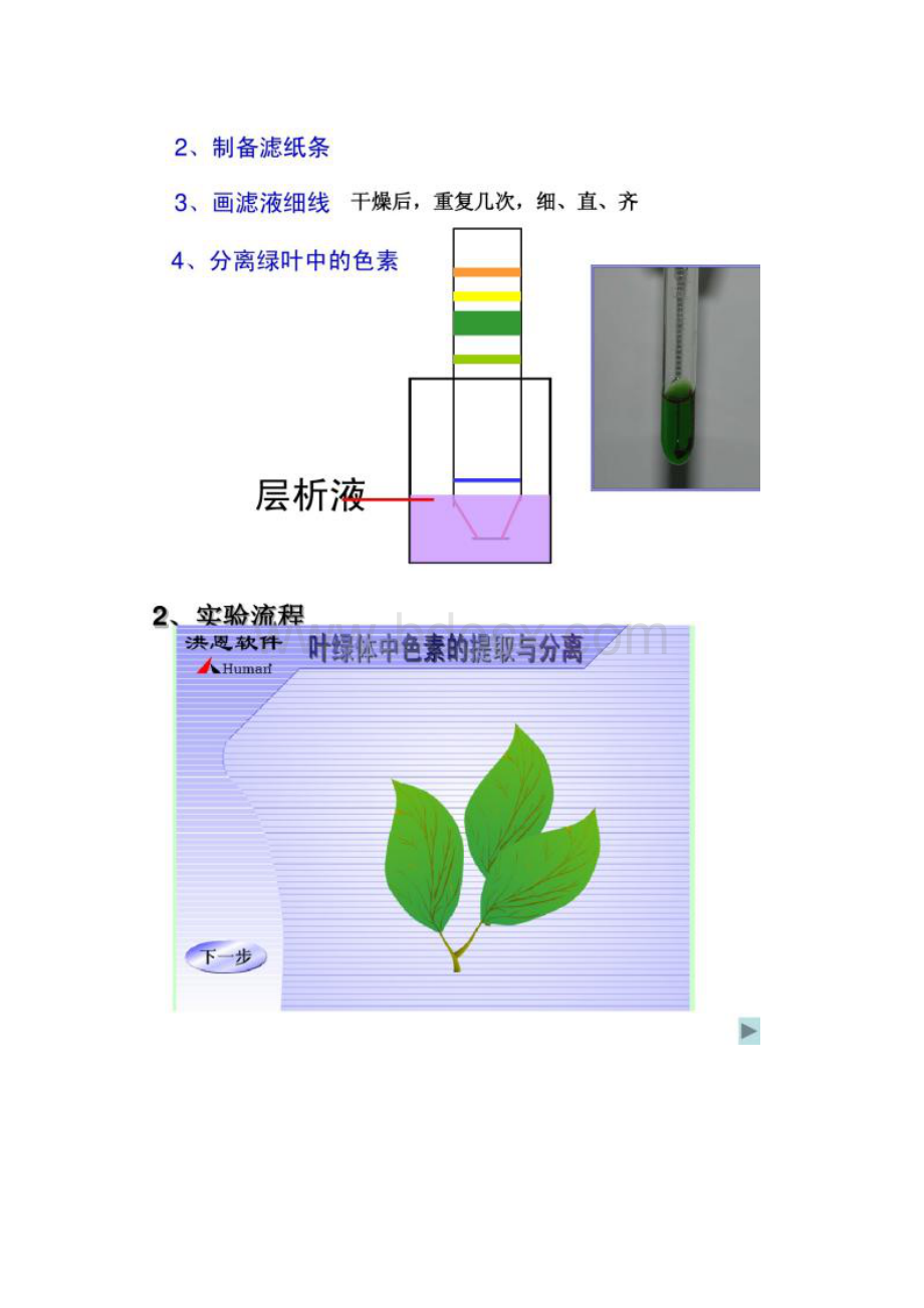 光与光合作用市优质课精.docx_第3页