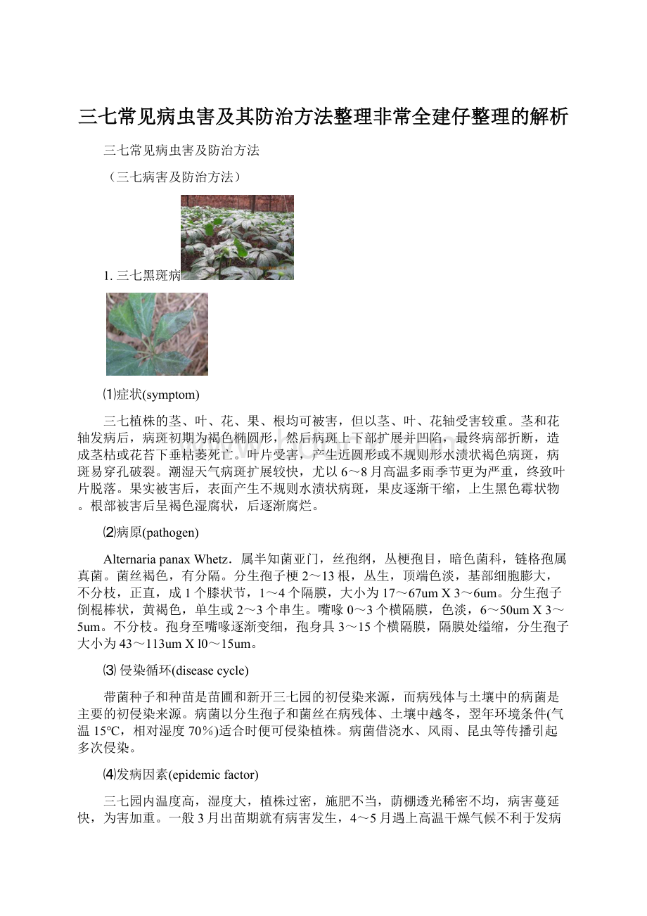 三七常见病虫害及其防治方法整理非常全建仔整理的解析.docx