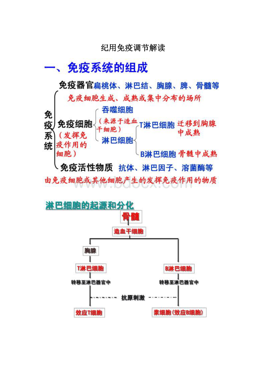 纪用免疫调节解读.docx_第1页