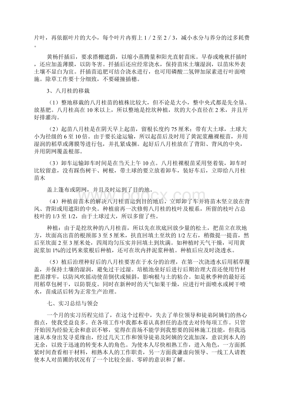 植物学实习报告.docx_第3页