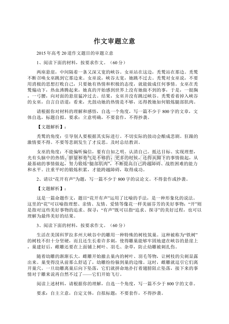 作文审题立意文档格式.docx_第1页