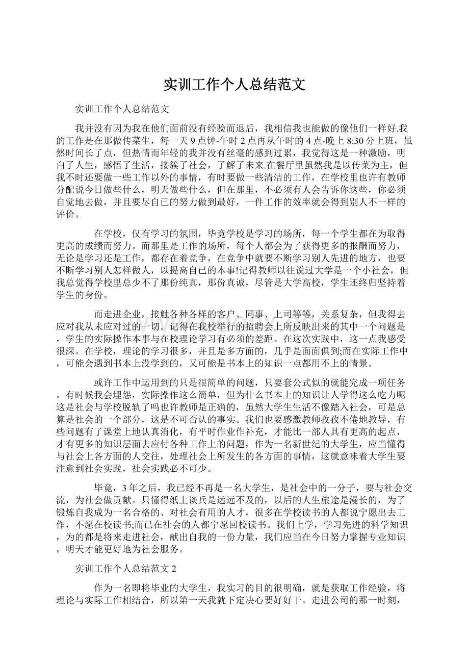 实训工作个人总结范文.docx