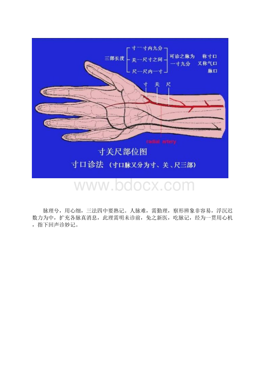 中医脉象口诀歌 学会你也能号脉.docx_第2页