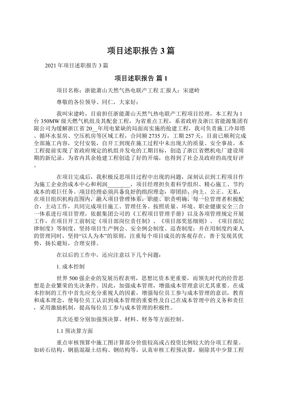 项目述职报告3篇文档格式.docx_第1页