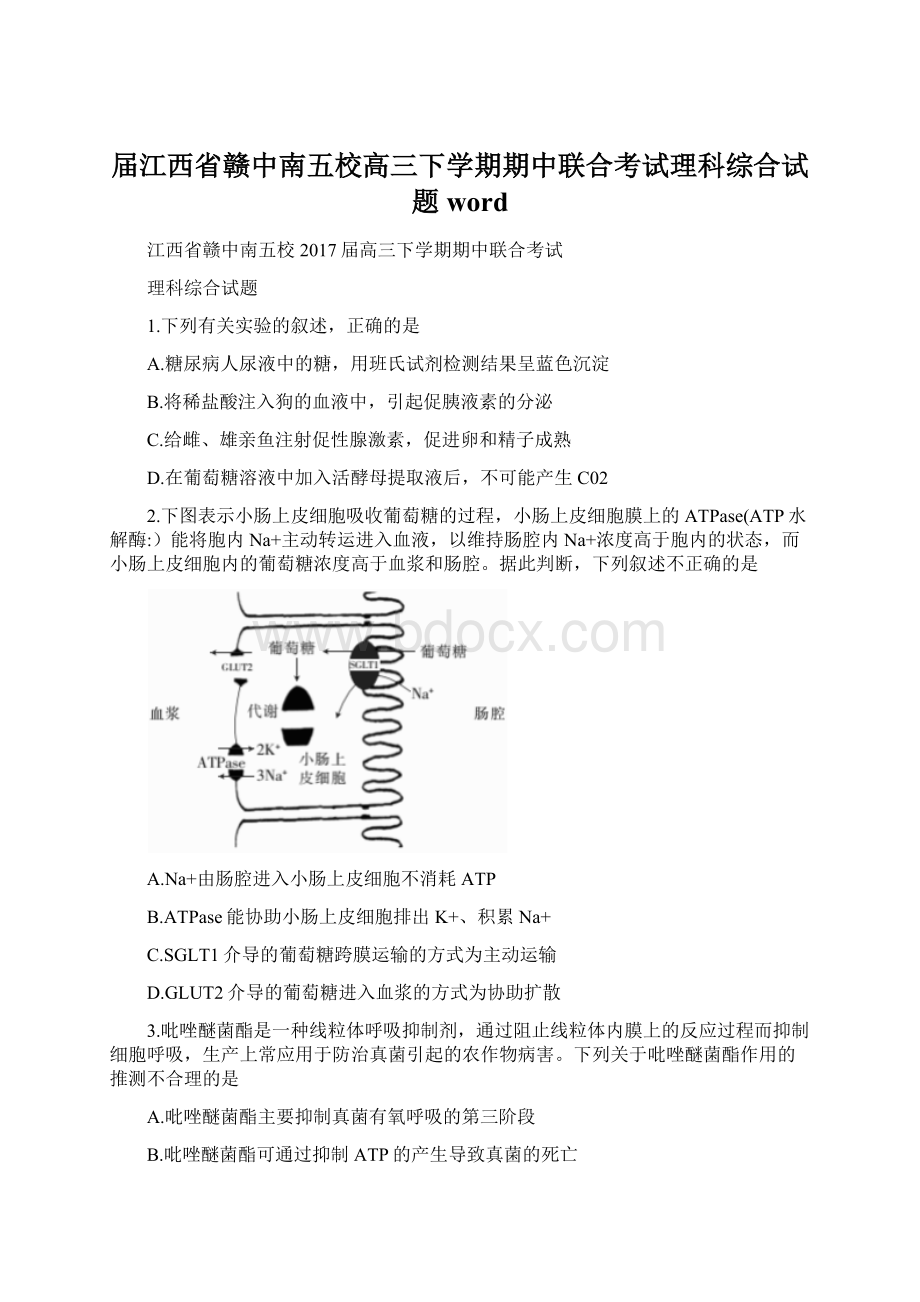 届江西省赣中南五校高三下学期期中联合考试理科综合试题word文档格式.docx